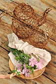 Musk mallow (Malva moschata) flowers, wild edible plant, benefits, infusion