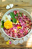 Rose petals (Rosa sp), harvested for drinking, jam or cosmetics.