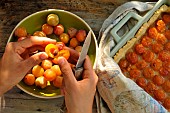 Mirabelle plums, yellow plums, pitting the fruit, homemade mirabelle plum tart, in the kitchen