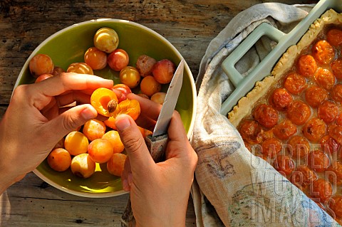Mirabelle_plums_yellow_plums_pitting_the_fruit_homemade_mirabelle_plum_tart_in_the_kitchen
