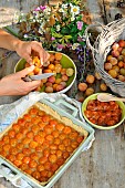 Mirabelle plums, yellow plums, pitting the fruit, homemade mirabelle plum tart, mirabelle plum jam and flower bouquet in the kitchen