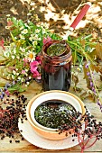 Black Elderberry (Sambucus nigra), fruit and jelly of Elderberry fruit, benefit, fruit must be eaten cooked