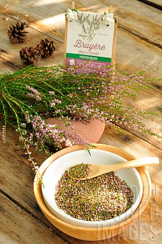 Heather_Calluna_vulgaris_flowers_in_infusion_for_its_virtues
