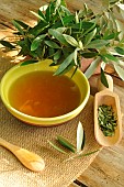 Olive leaves (Olea europea) used as infusion, medicinal properties