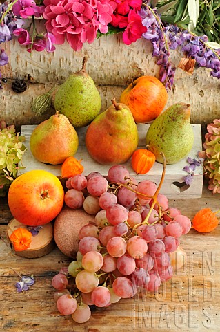 Autumn_fruits_pears_grapes_walnuts_hazelnuts_gooseberries_apples_seasonal_treasures_at_the_end_of_su