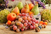 Autumn fruits: pears, grapes, walnuts, hazelnuts, gooseberries, apples, seasonal treasures at the end of summer and beginning of autumn