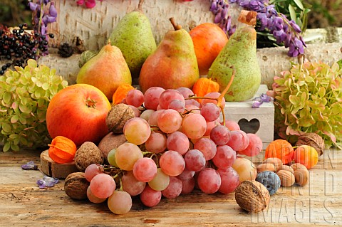 Autumn_fruits_pears_grapes_walnuts_hazelnuts_gooseberries_apples_seasonal_treasures_at_the_end_of_su