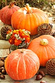 Pumpkins (Cucurbita maxima) and marigold flowers (Tagestes patula), autumn colours