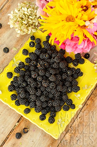 Harvest_of_wild_blackberries_fruits_and_bouquet_of_pink_and_yellow_flowers