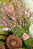 Bouquet of Heather (Calluna vulgaris) and Cedar (Cedrus sp) cone