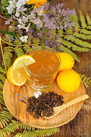 Cloves_Syzygium_aromaticum_clove_and_lemon_Citrus_limon_infusion_flowers_and_fern_fronds