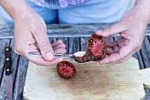 Harvesting seeds of old variety tomatoes Noire de Crimée