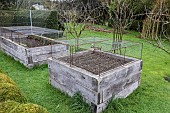 Screening on vegetable patches, winter, Pas de Calais, France