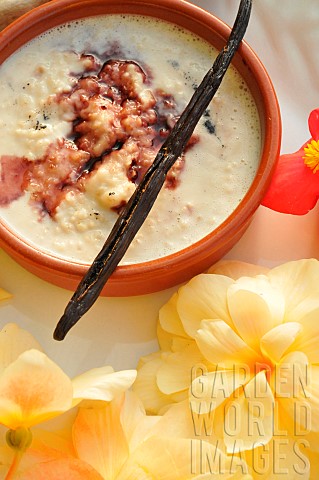 Vanilla_bean_Vanilla_pompona_oatmeal_dessert_elderberry_and_vanilla_syrup_Begonia_flowers