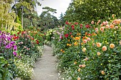 Dahlia exhibition, Parc Floral Vincennes, Paris, France