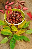 Chestnuts, fruits of the chestnut tree (Castanea sativa), in a container and autumn leaves