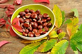 Chestnuts, fruits of the chestnut tree (Castanea sativa), in a container and autumn leaves