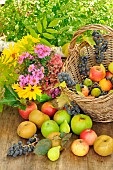 Autumn fruits, Grapes, White figs and different varieties of apples, Canada, Granny Smith, Reinette, Seasonal bouquet