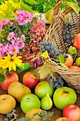 Autumn fruits, Grapes, White figs and different varieties of apples, Canada, Granny Smith, Reinette, Seasonal bouquet