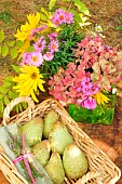 Basket of pears harvested in the orchard, autumn fruit and a bouquet of seasonal flowers