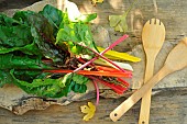 Chard, Beta vulgaris, different varieties, wooden spoon