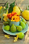 Small bouquet of Pot marigold (Calendula officinalis) and French marigold (Tagetes patula) flowers in a small sky blue milk jug, white figs (Ficus carica) and quinces (Cydonia oblongo)