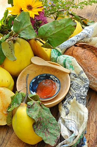 Quince_jelly_and_quince_with_leaves_fruit_of_the_quince_tree_Cydonia_oblonga_in_autumn_bread