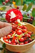 Rosehip pulp, rosehip berries, rosa canina, rich in vitamin C, jam