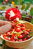 Rosehip pulp, rosehip berries, rosa canina, rich in vitamin C, jam