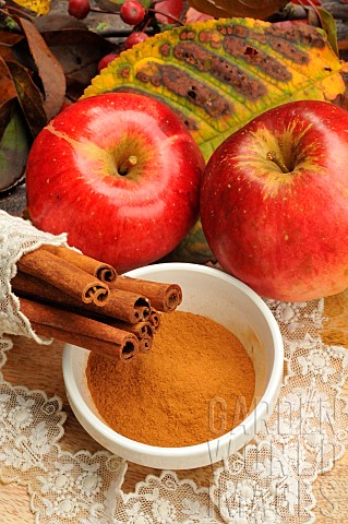 Cinnamon_peel_and_powder_and_red_apple