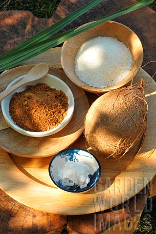 Coconut_blossom_sugar_and_shredded_coconut_coconut_oil_and_coconut_fruits_of_the_Coconut_palm_Cocos_