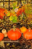 Hello Autumn, hanging coloured leaves and pumpkin and butternut squash