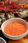 Coral lentils, Lens culinaris, autumnal atmosphere
