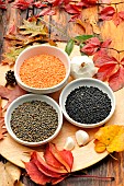 Different varieties of lentils, Lens culinaris, Coral lentils, Beluga lentils or lentil caviar, Green lentils, and Garlic pods (Allium sativum)