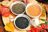 Different varieties of lentils, Lens culinaris, Coral lentils, Beluga lentils or lentil caviar, Green lentils, and Garlic pods (Allium sativum)