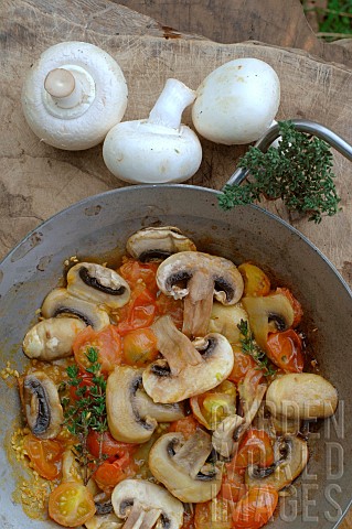 Button_mushrooms_Agaricus_bisporus_cooked_with_tomatoes