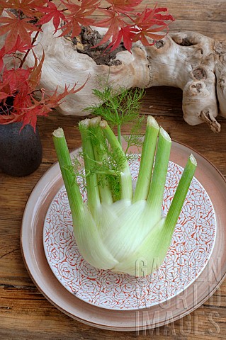 Fennel_in_a_plate