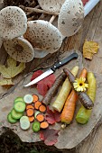 Harvesting Parasol mushroom (Macrolepiota procera), Autumn Mushrooms and Rainbow Carrots (Daucus carota)