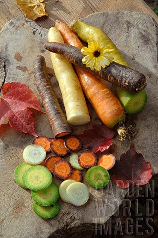 Rainbow_carrots_Daucus_carota_on_a_wooden_cutting_board