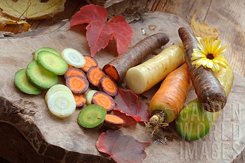 Rainbow_carrots_Daucus_carota_on_a_wooden_cutting_board