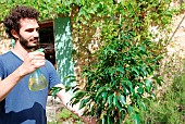 Man spraying a foliar stimulant on a shrub