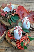 Candles and nature decoration, autumn leaves, pine cones, Cotoneaster berries