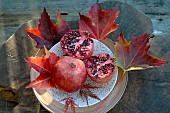 Pomegranates (Punica granatum), fruits (seeds, arils, antioxidants) in a plate and autumn leaves