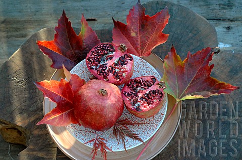 Pomegranates_Punica_granatum_fruits_seeds_arils_antioxidants_in_a_plate_and_autumn_leaves
