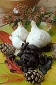 Cultivated garlic (Allium sativum) white garlic pods and black garlic, health benefits