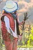 Woman pruning a Lilac chastetree (Vitex agnus-castus) in winter