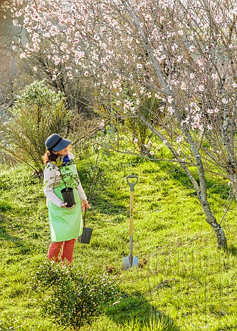 Woman_planting_shrubs_in_an_orchard_in_spring