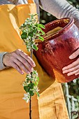 Woman holding a pot and a young columnar apple tree.