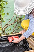 Woman setting up a mini vegetable garden on a terrace step by step.