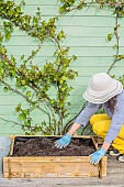 Woman setting up a mini vegetable garden on a terrace step by step.